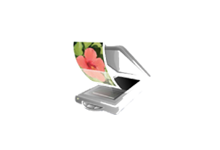 VueScan v9.8.46.08 简体中文便携版-扫描仪增强工具