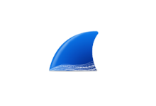 Wireshark v4.4.7 绿色版（网络抓包工具）