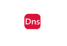 DNS工具箱 V1.0.0.29-轻量高性能DNS服务器