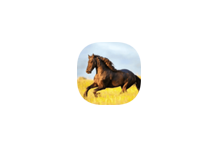 你的电视 v1.8.9-免费电视直播（Android ）